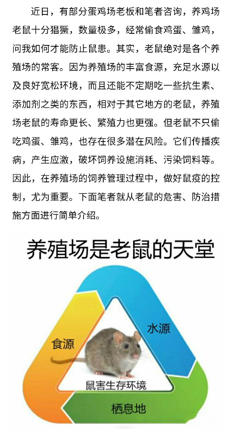 澳门十大电子游戏入口网站