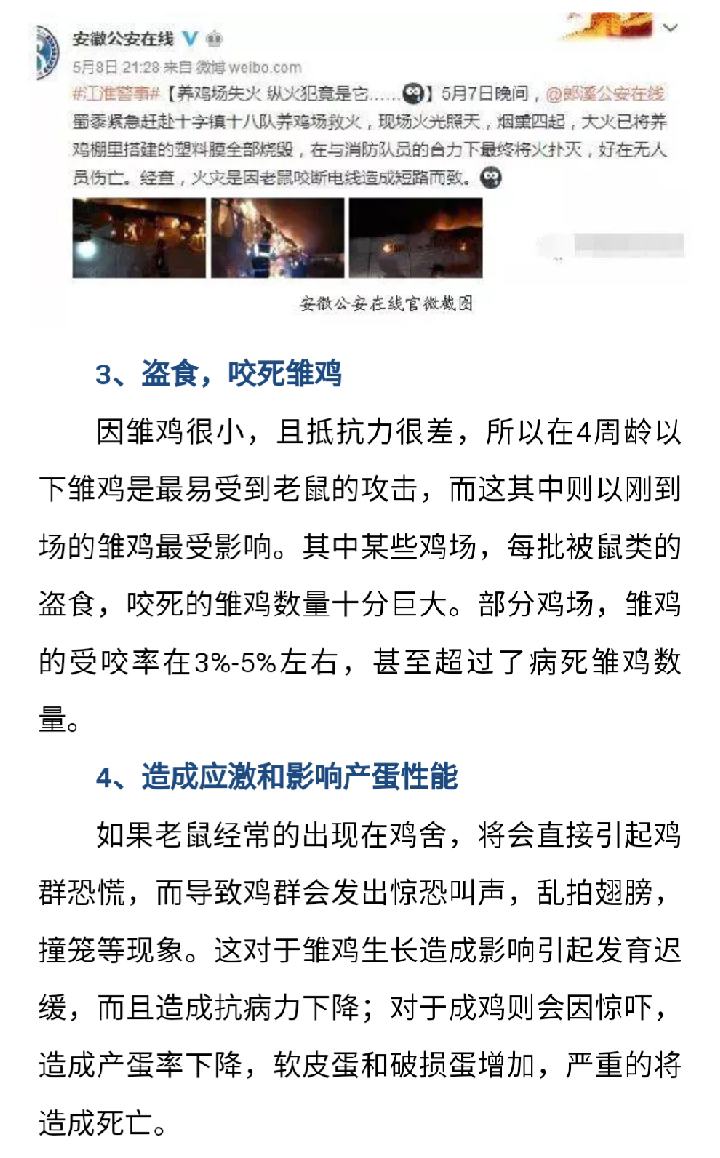 澳门十大电子游戏入口网站