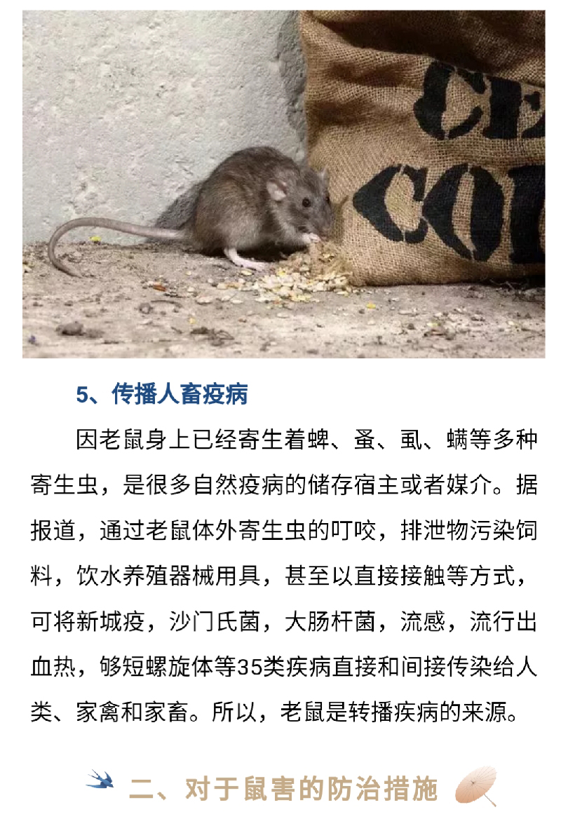 澳门十大电子游戏入口网站