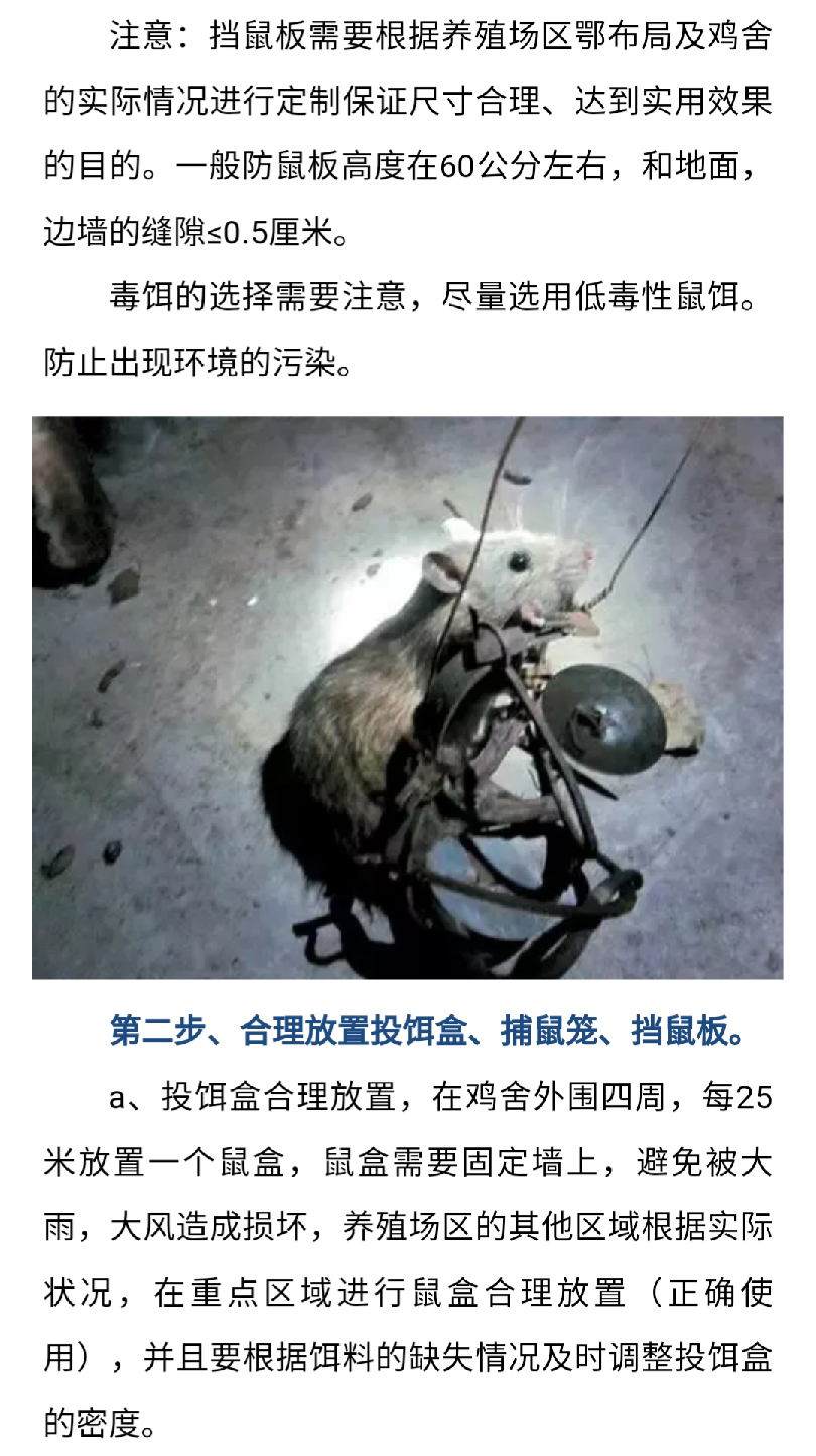 澳门十大电子游戏入口网站