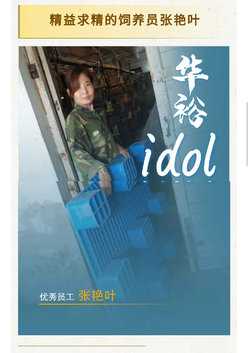 澳门十大电子游戏入口网站