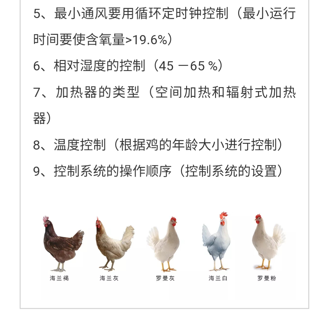 澳门十大电子游戏入口网站