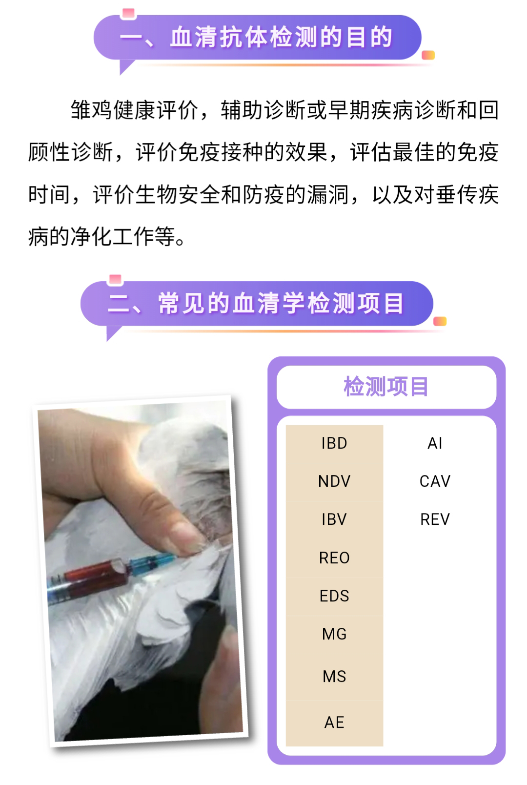 澳门十大电子游戏入口网站