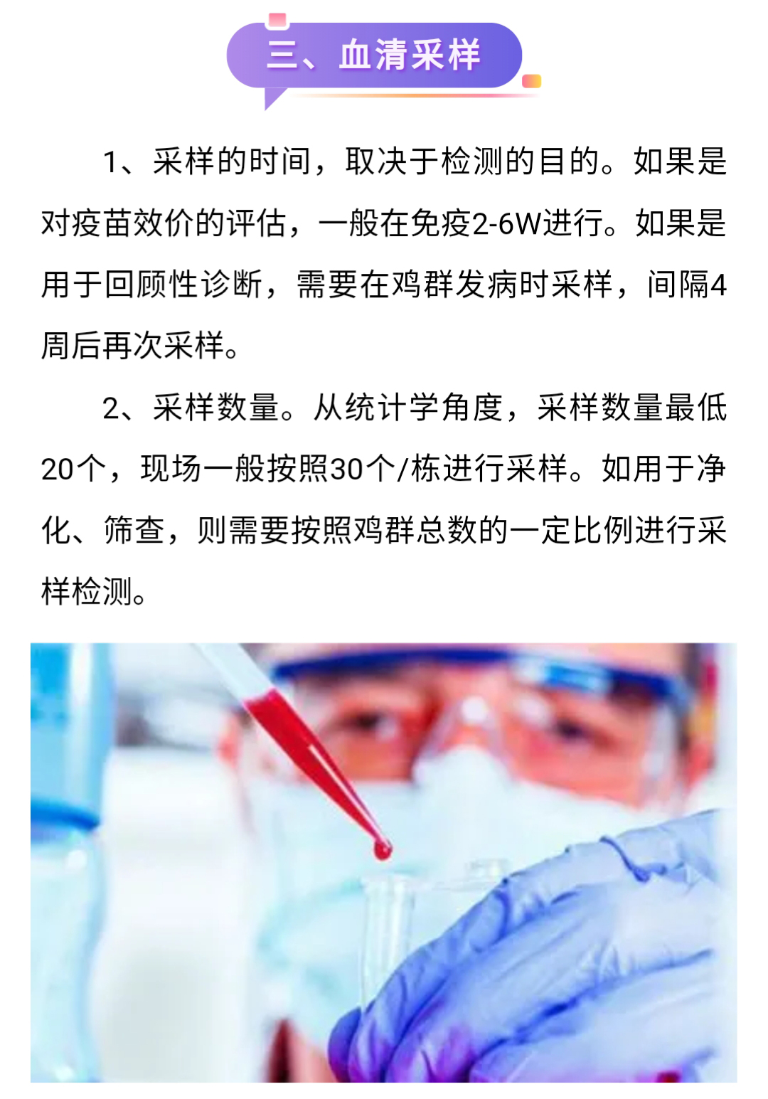 澳门十大电子游戏入口网站
