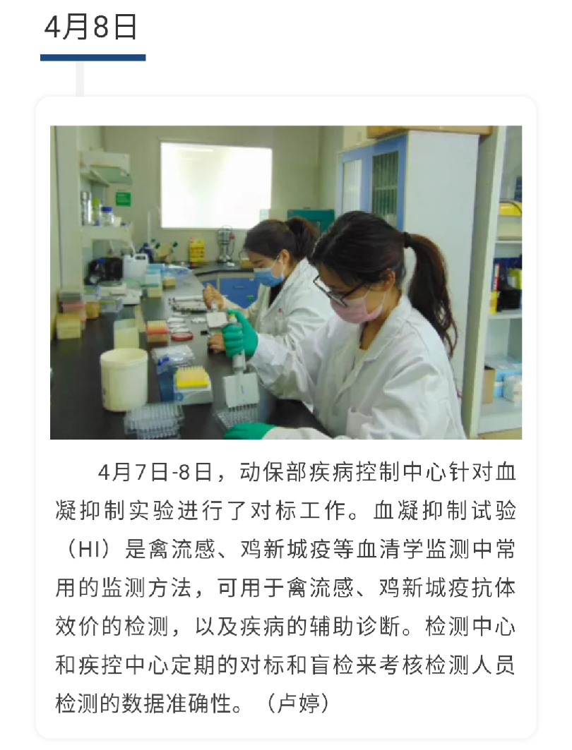 澳门十大电子游戏入口网站