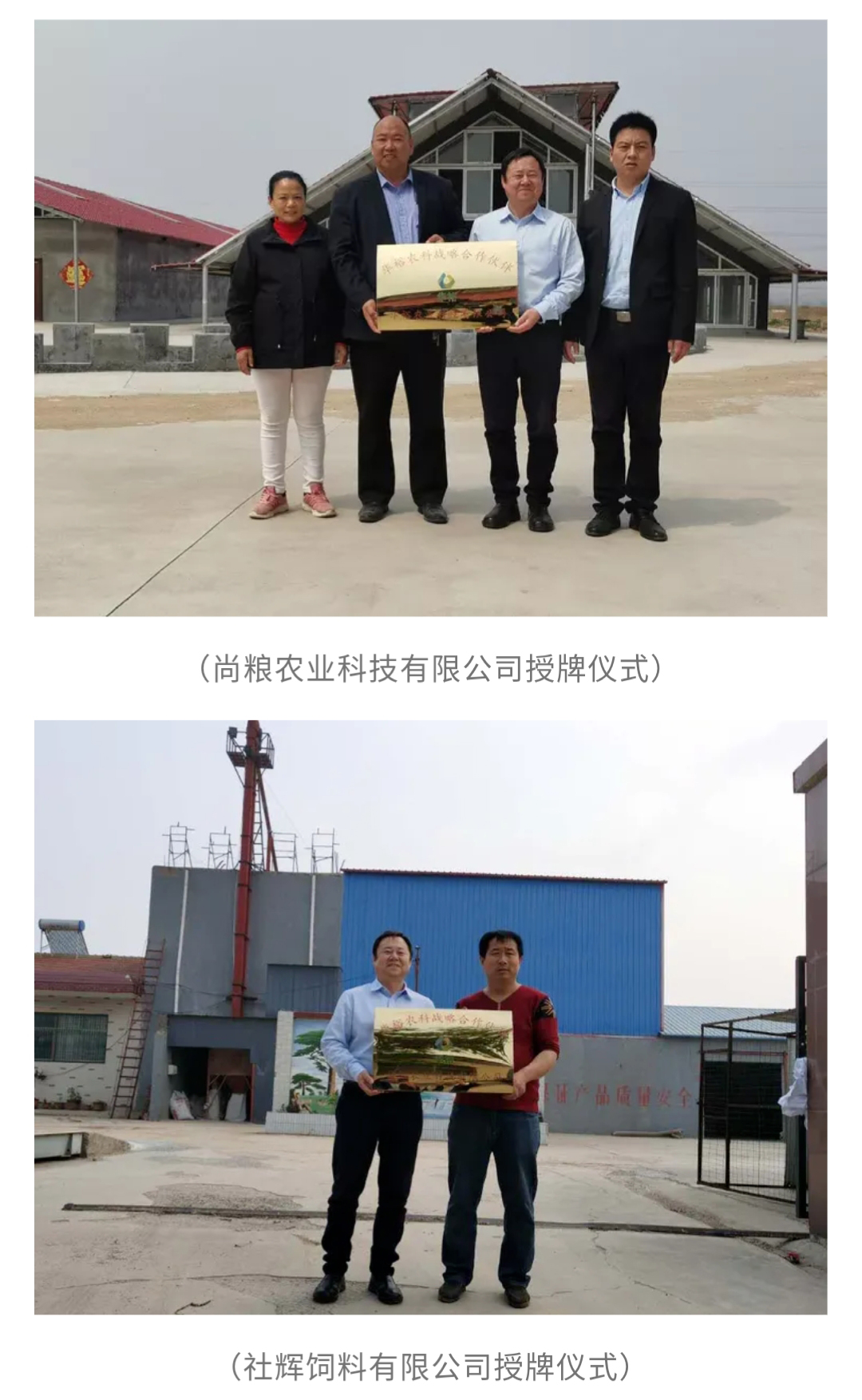 澳门十大电子游戏入口网站