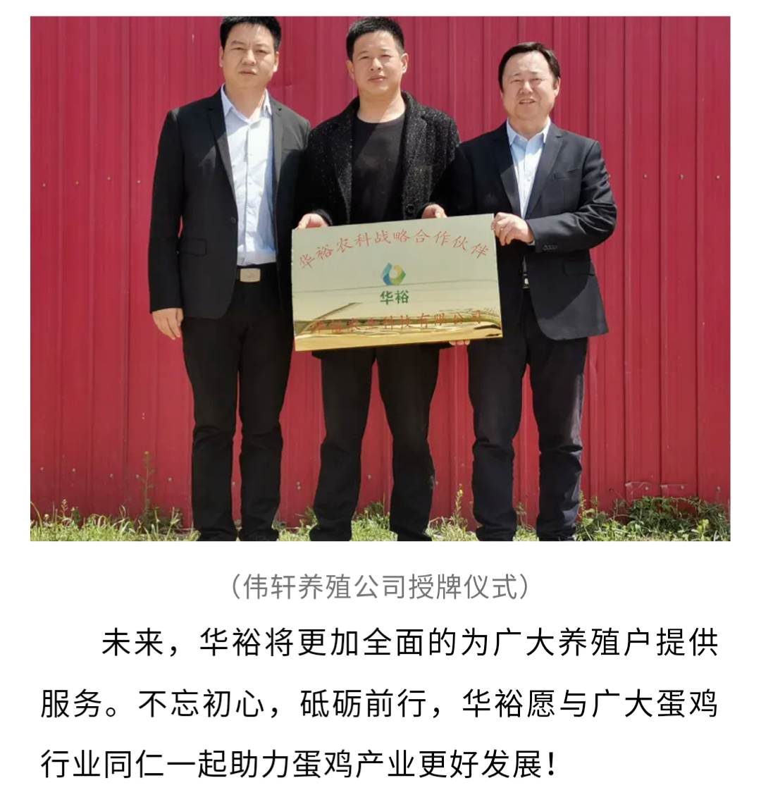 澳门十大电子游戏入口网站