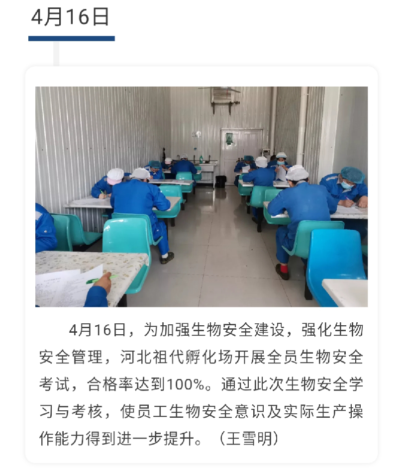 澳门十大电子游戏入口网站