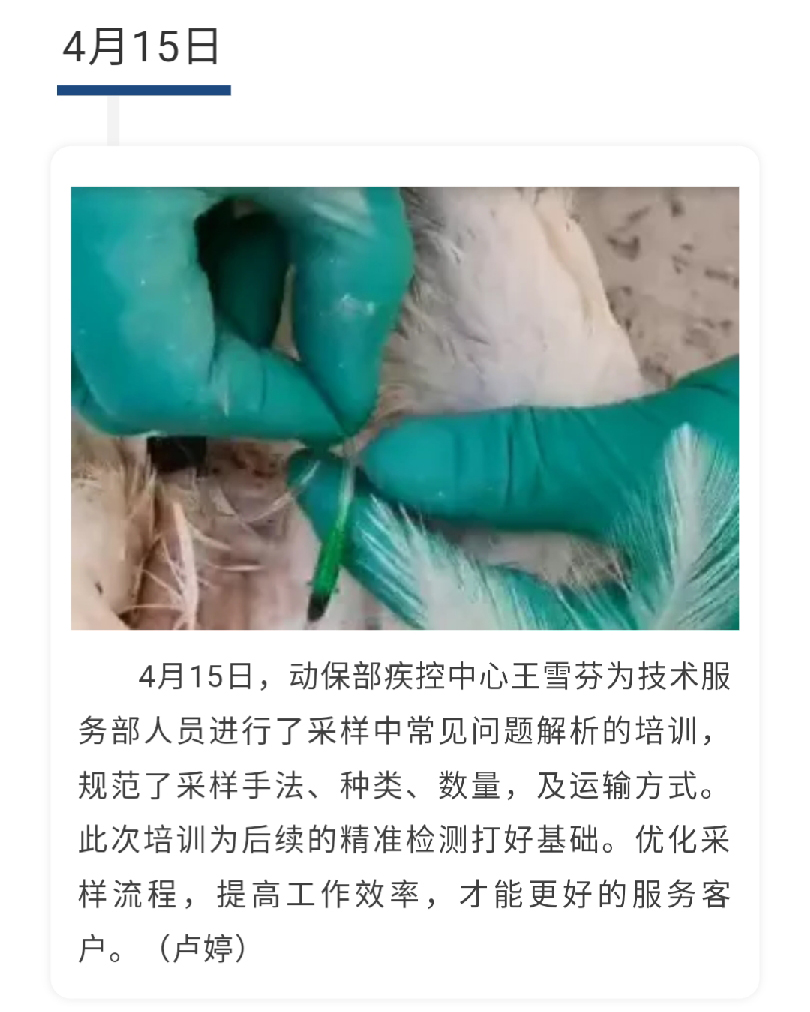 澳门十大电子游戏入口网站