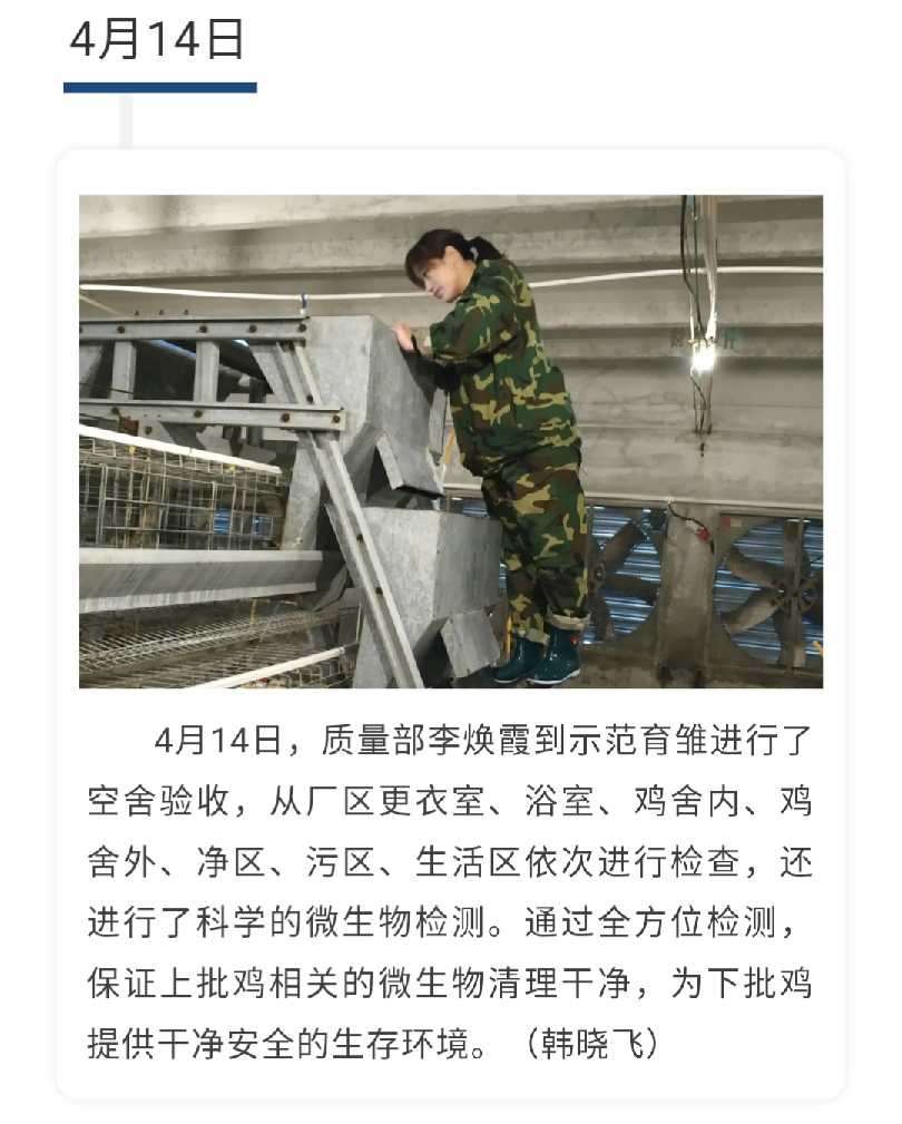 澳门十大电子游戏入口网站