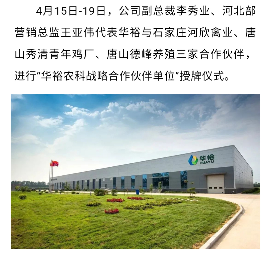 澳门十大电子游戏入口网站