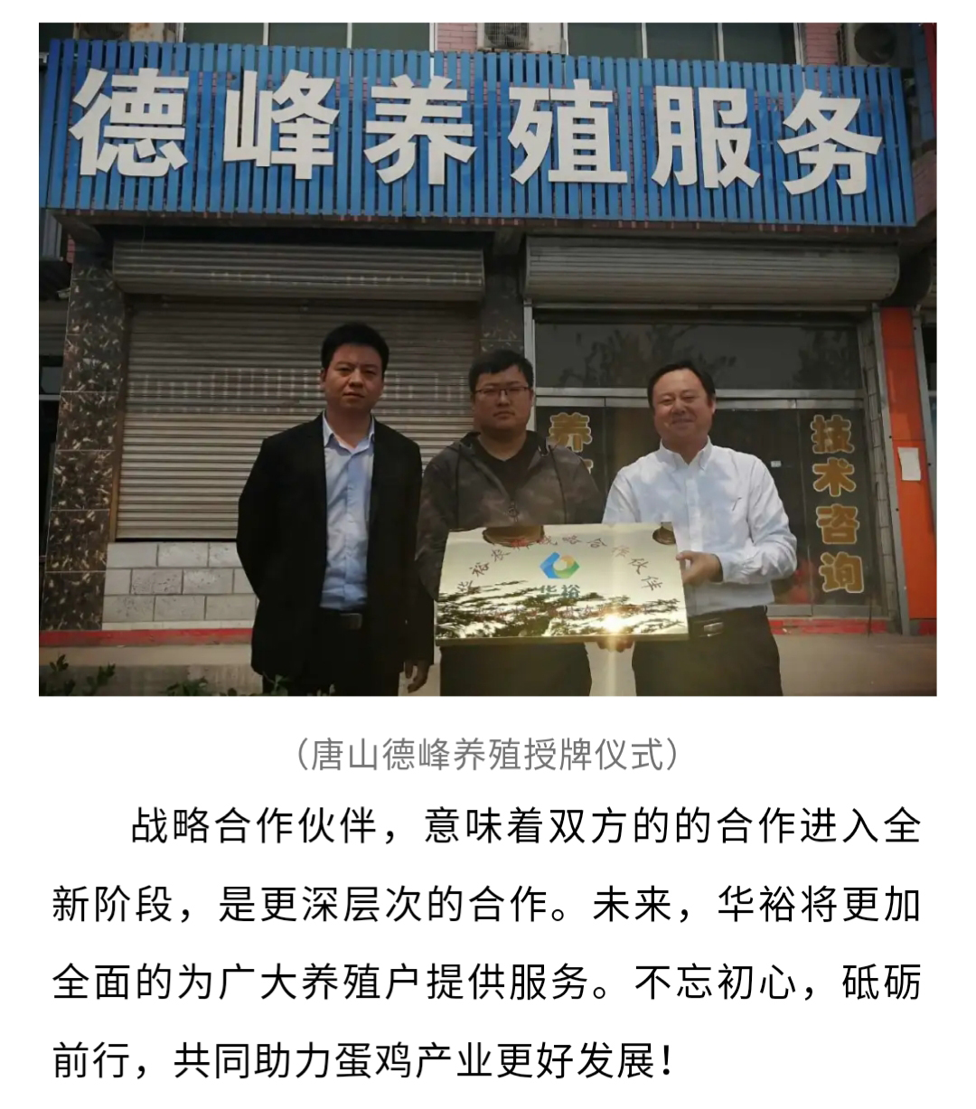 澳门十大电子游戏入口网站