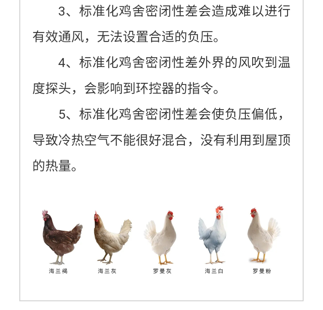 澳门十大电子游戏入口网站