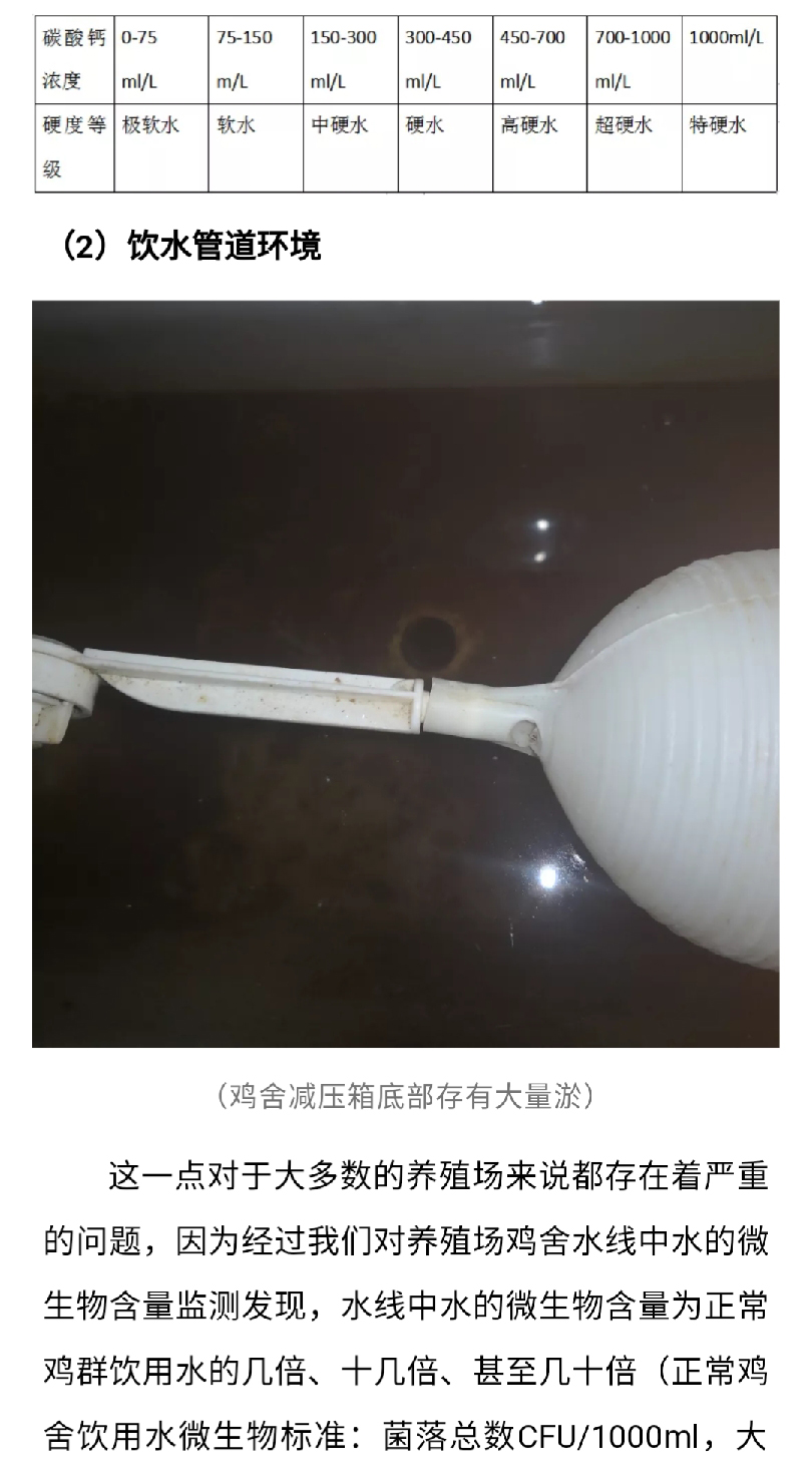 澳门十大电子游戏入口网站