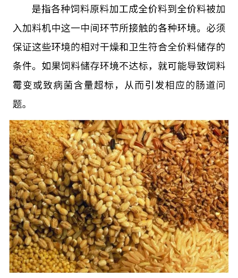 澳门十大电子游戏入口网站