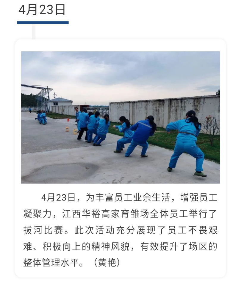 澳门十大电子游戏入口网站