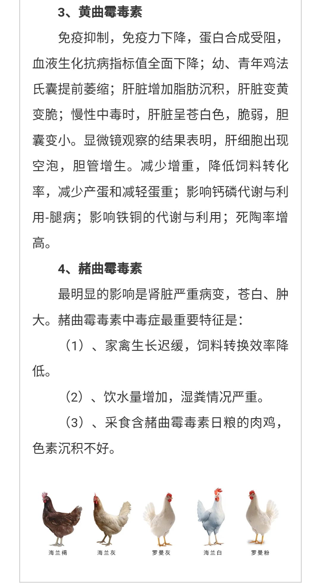 澳门十大电子游戏入口网站