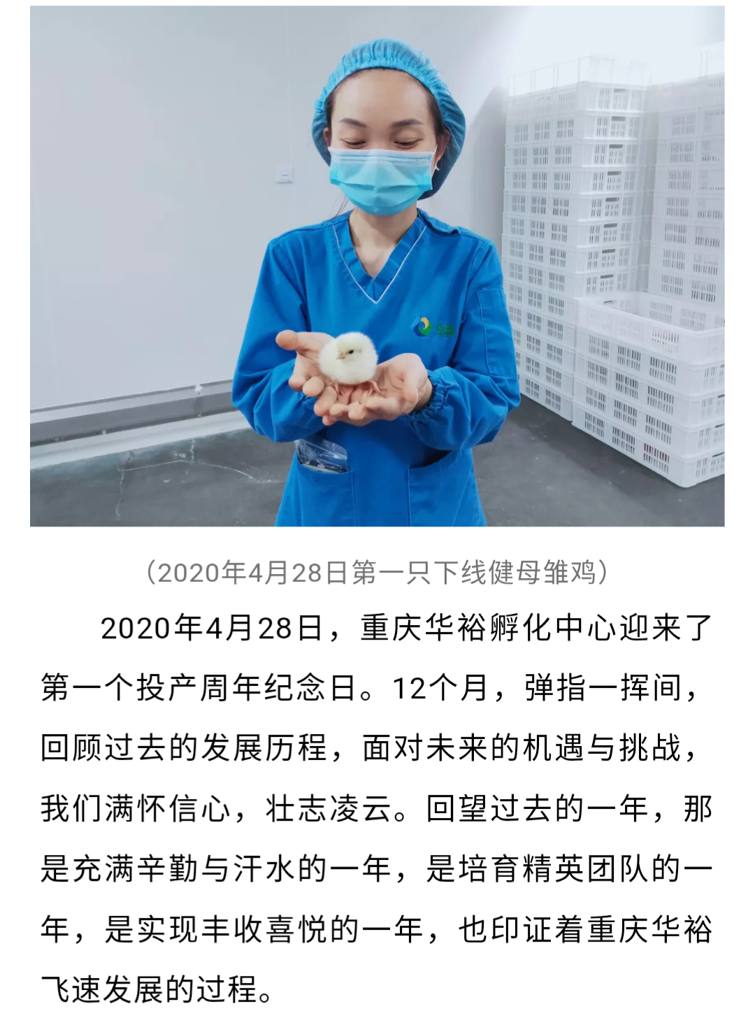 澳门十大电子游戏入口网站