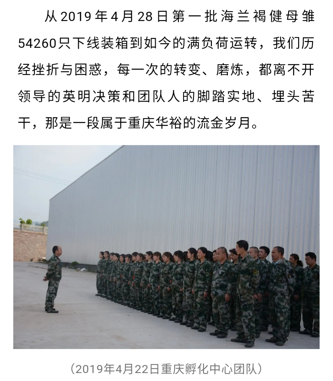 澳门十大电子游戏入口网站