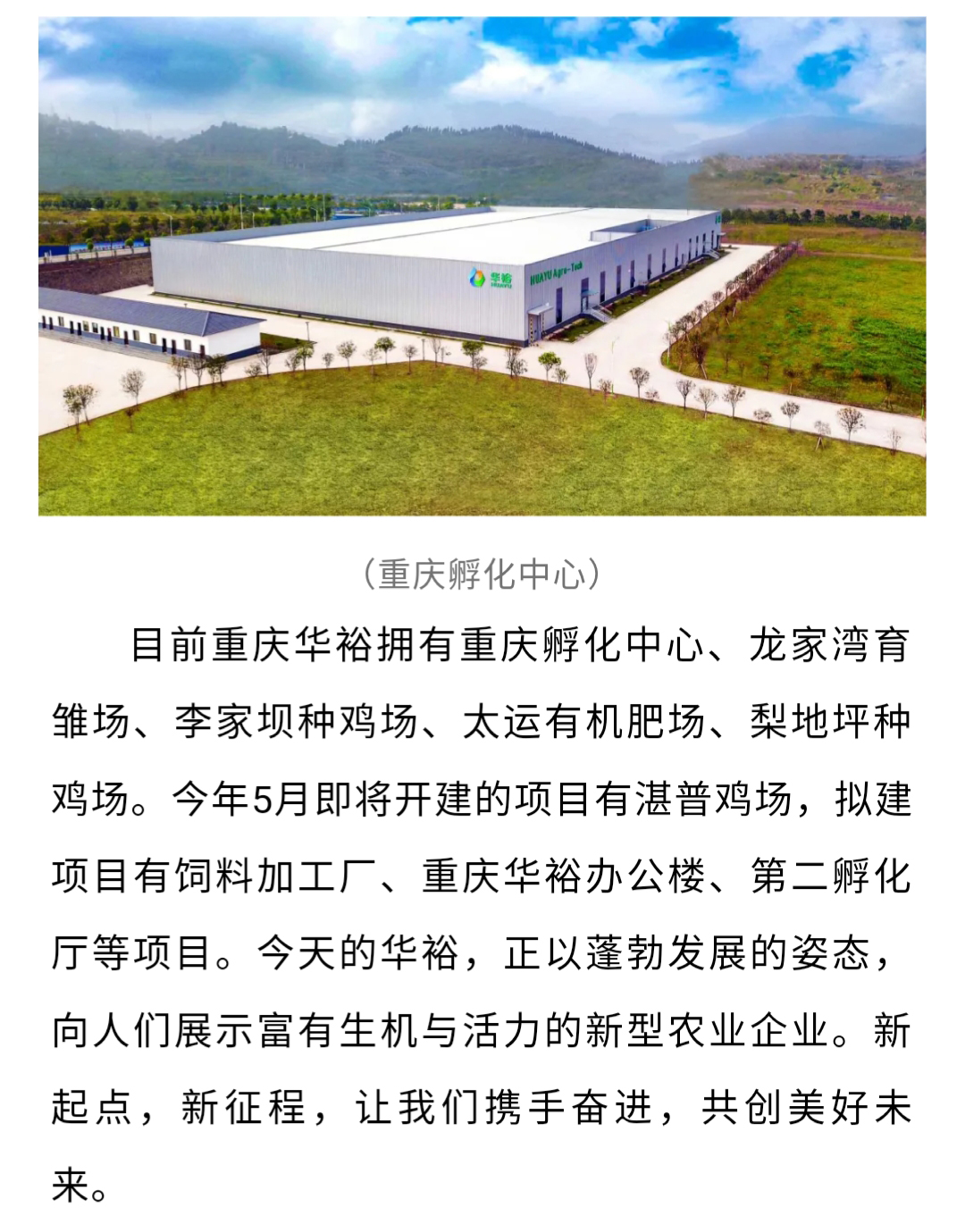 澳门十大电子游戏入口网站