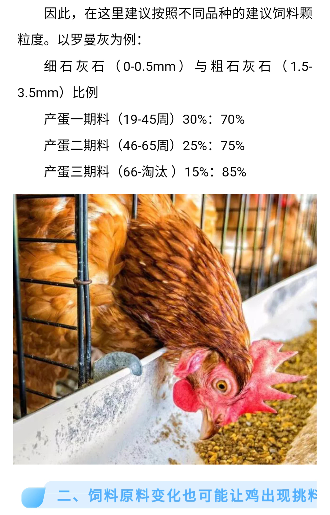 澳门十大电子游戏入口网站
