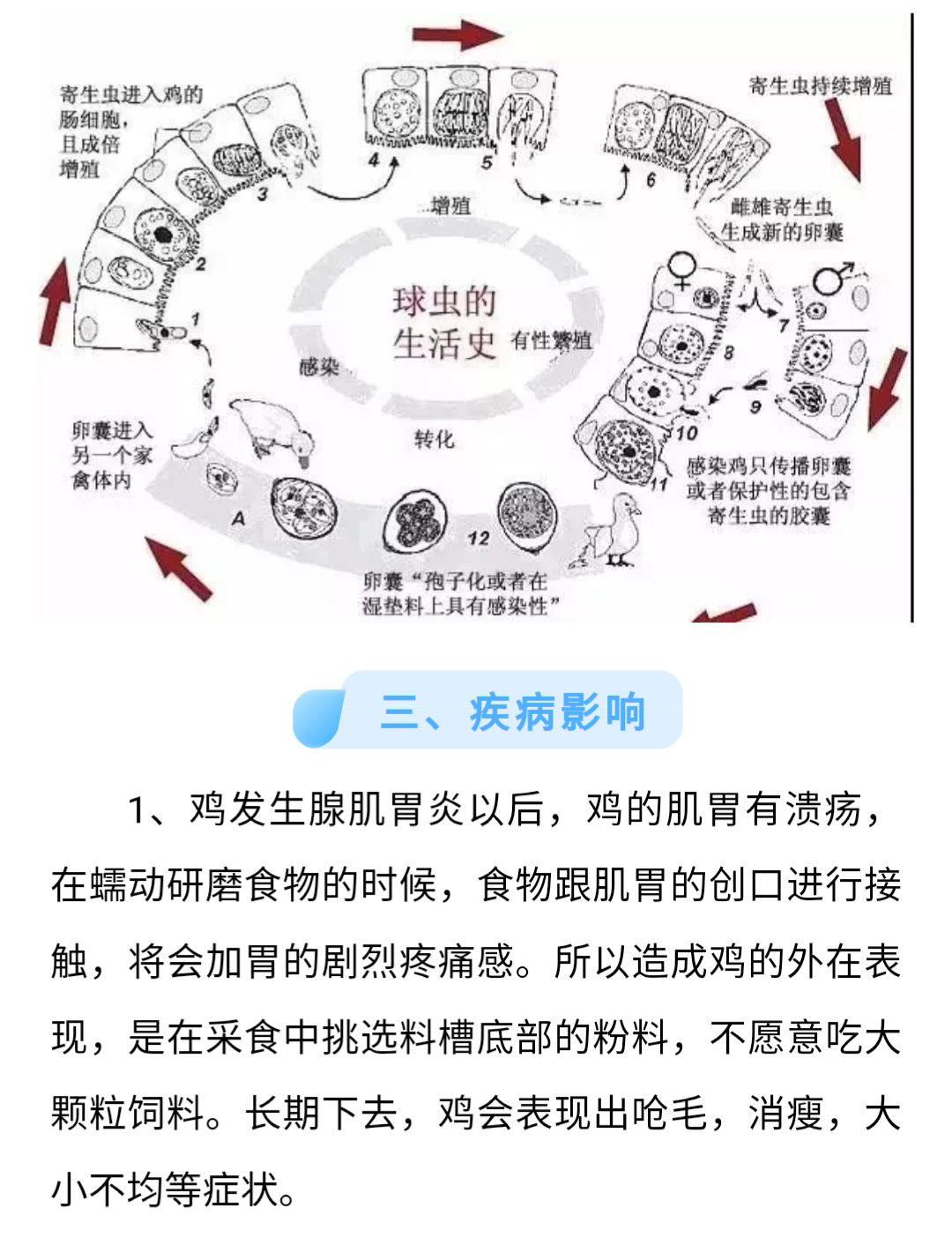 澳门十大电子游戏入口网站