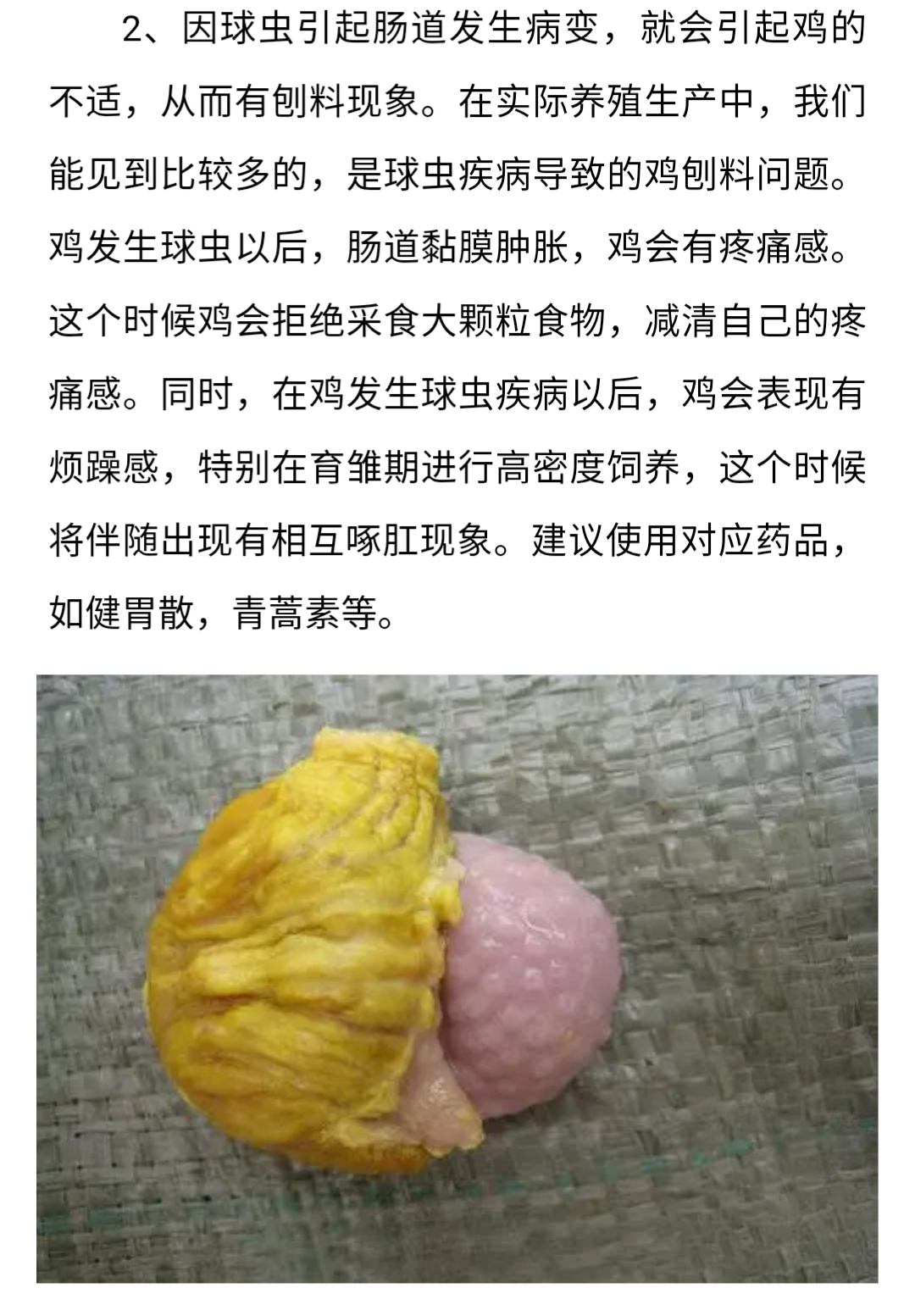 澳门十大电子游戏入口网站