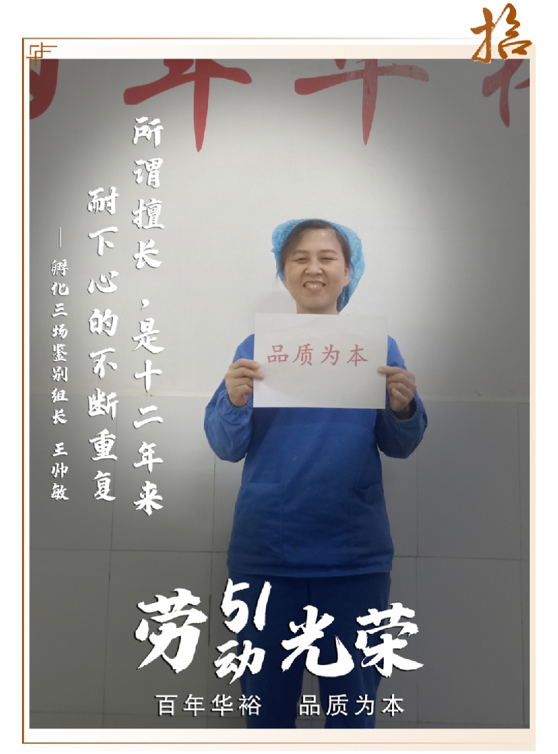 澳门十大电子游戏入口网站