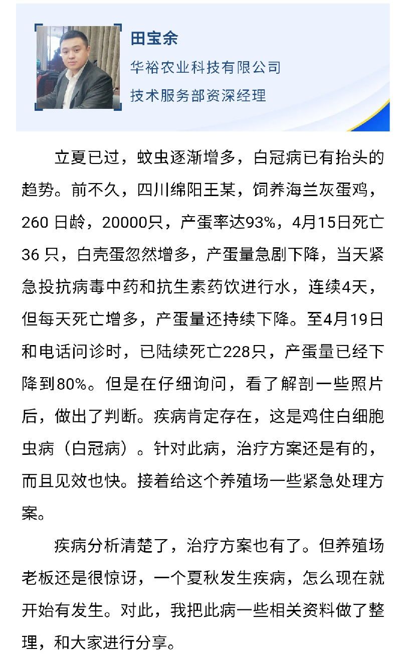 澳门十大电子游戏入口网站