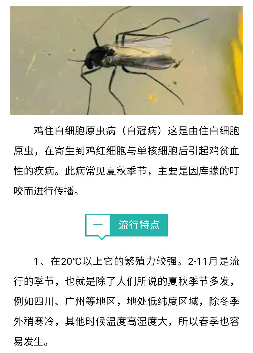 澳门十大电子游戏入口网站