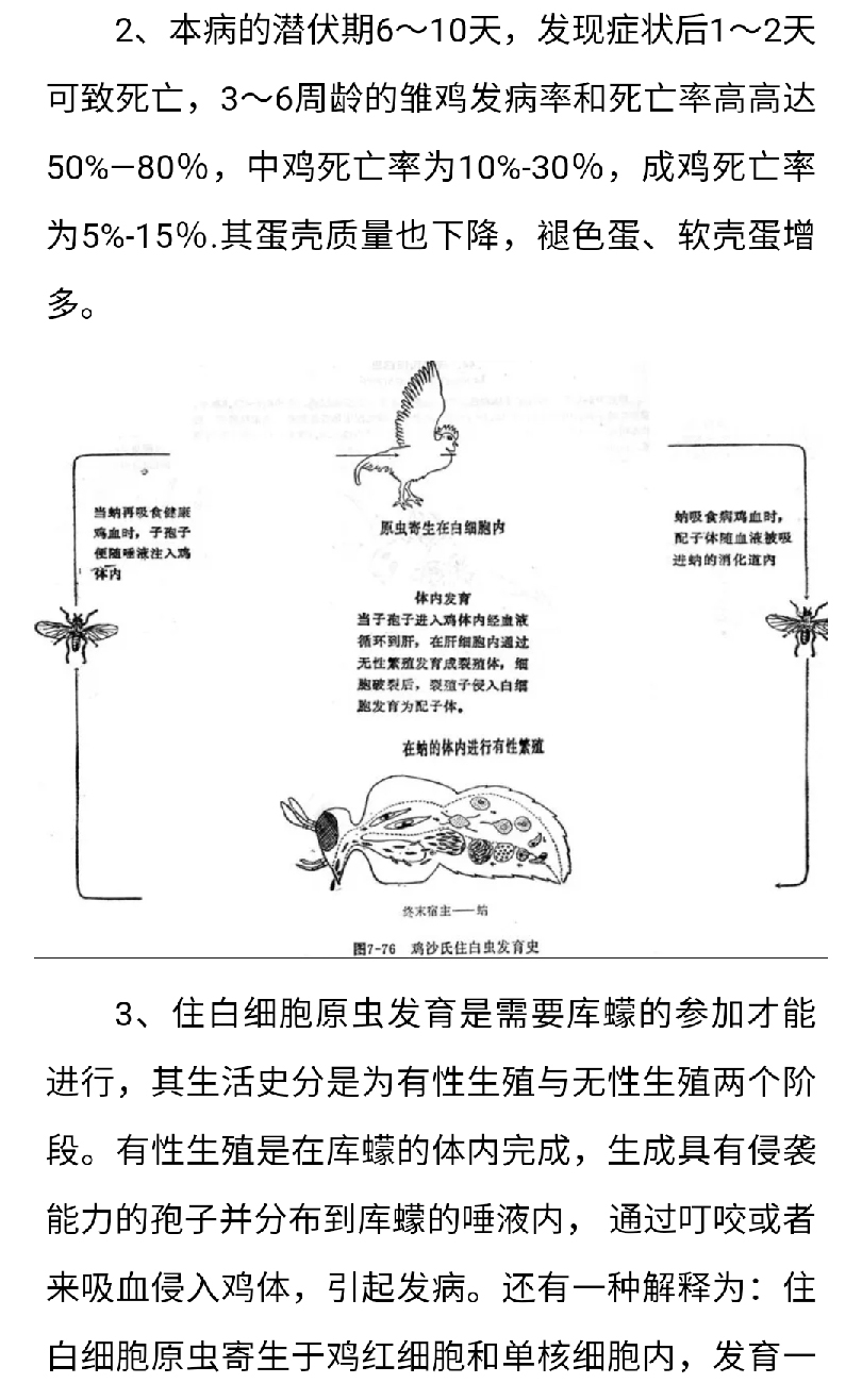 澳门十大电子游戏入口网站