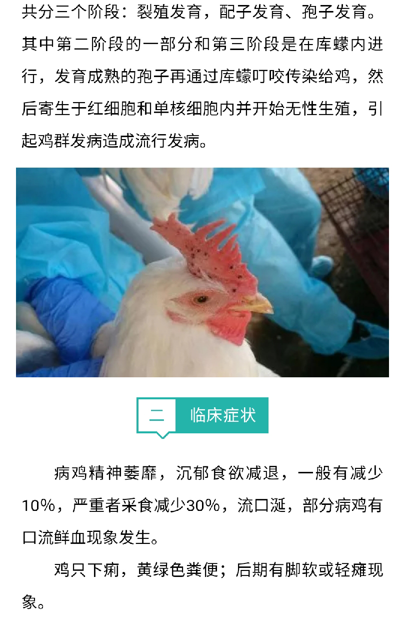 澳门十大电子游戏入口网站