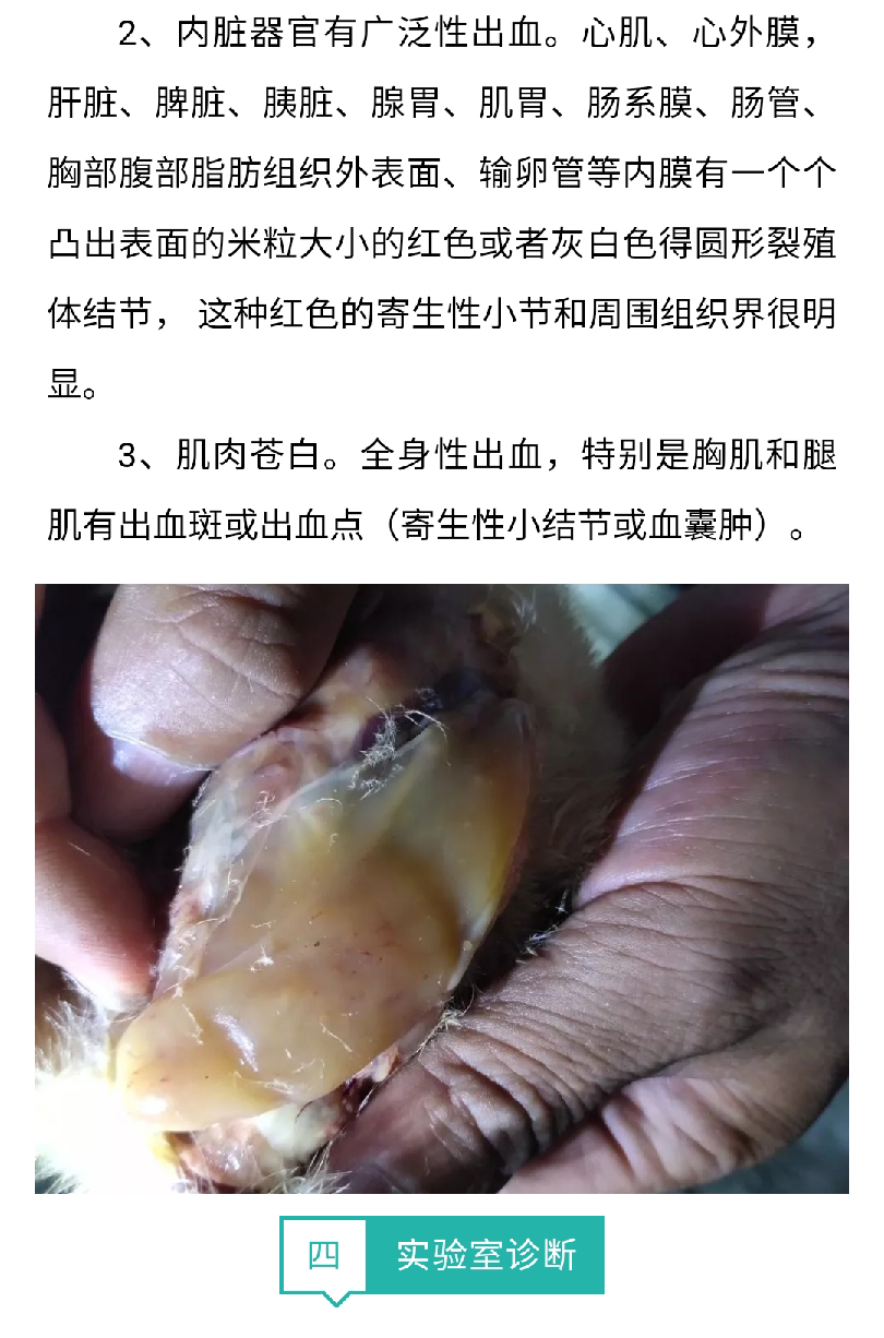 澳门十大电子游戏入口网站