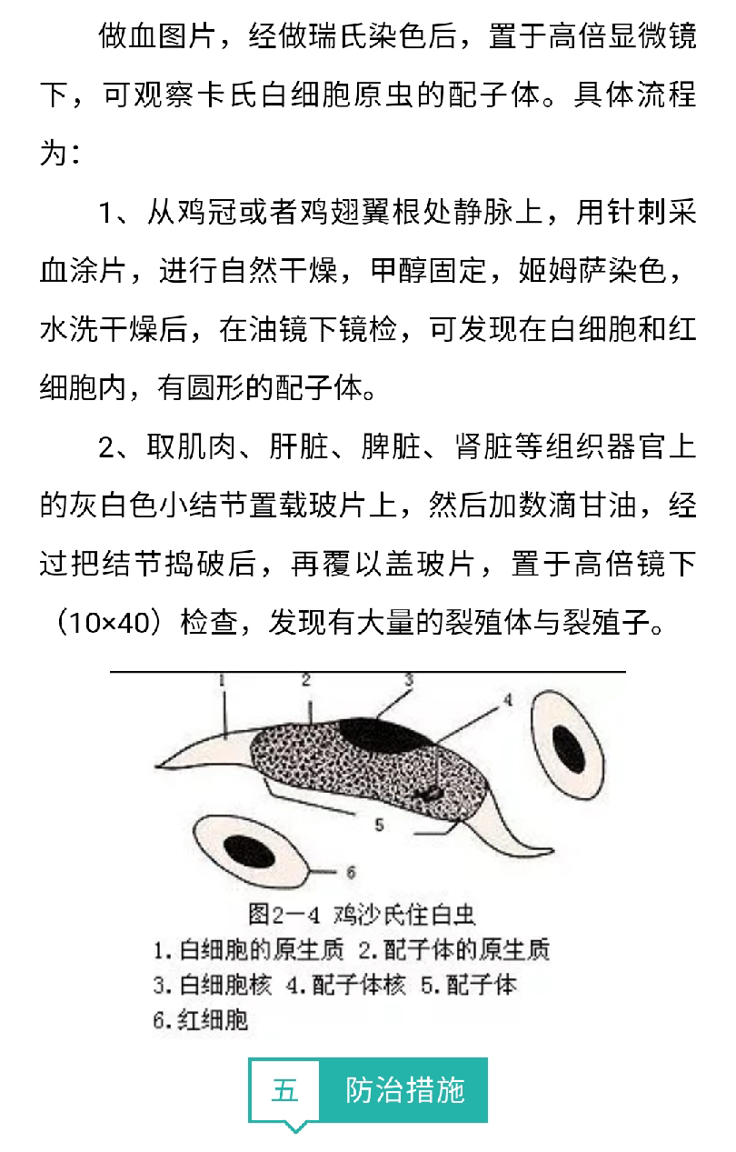 澳门十大电子游戏入口网站