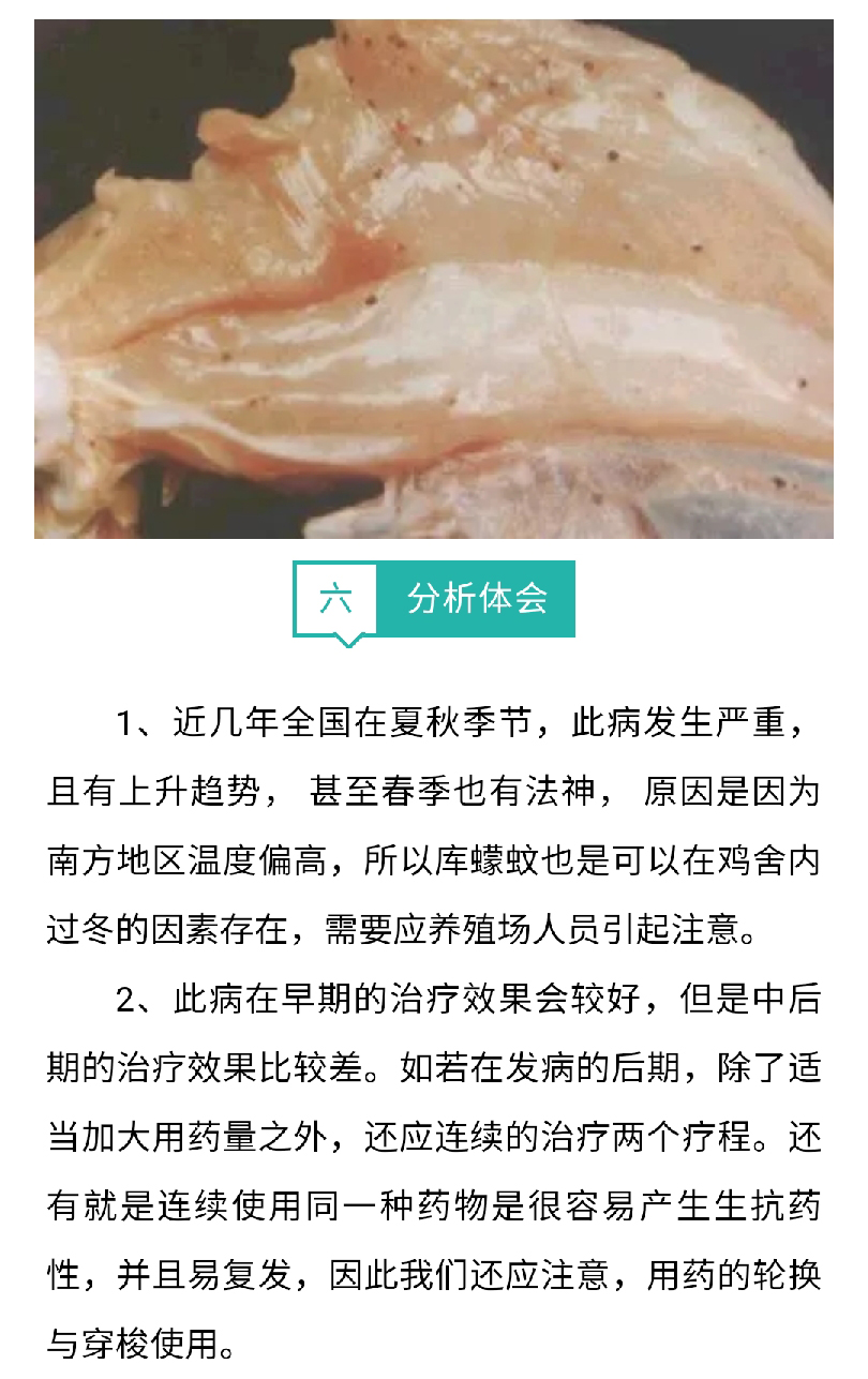 澳门十大电子游戏入口网站