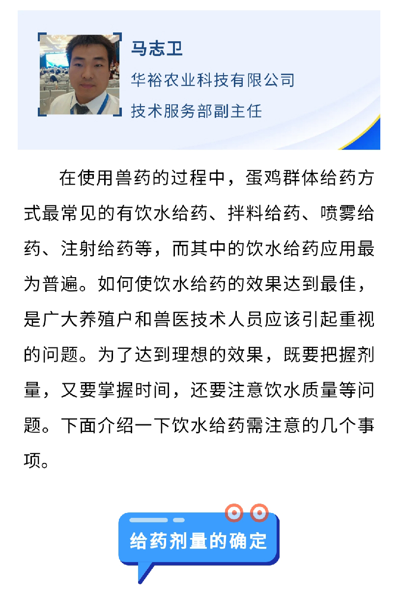 澳门十大电子游戏入口网站