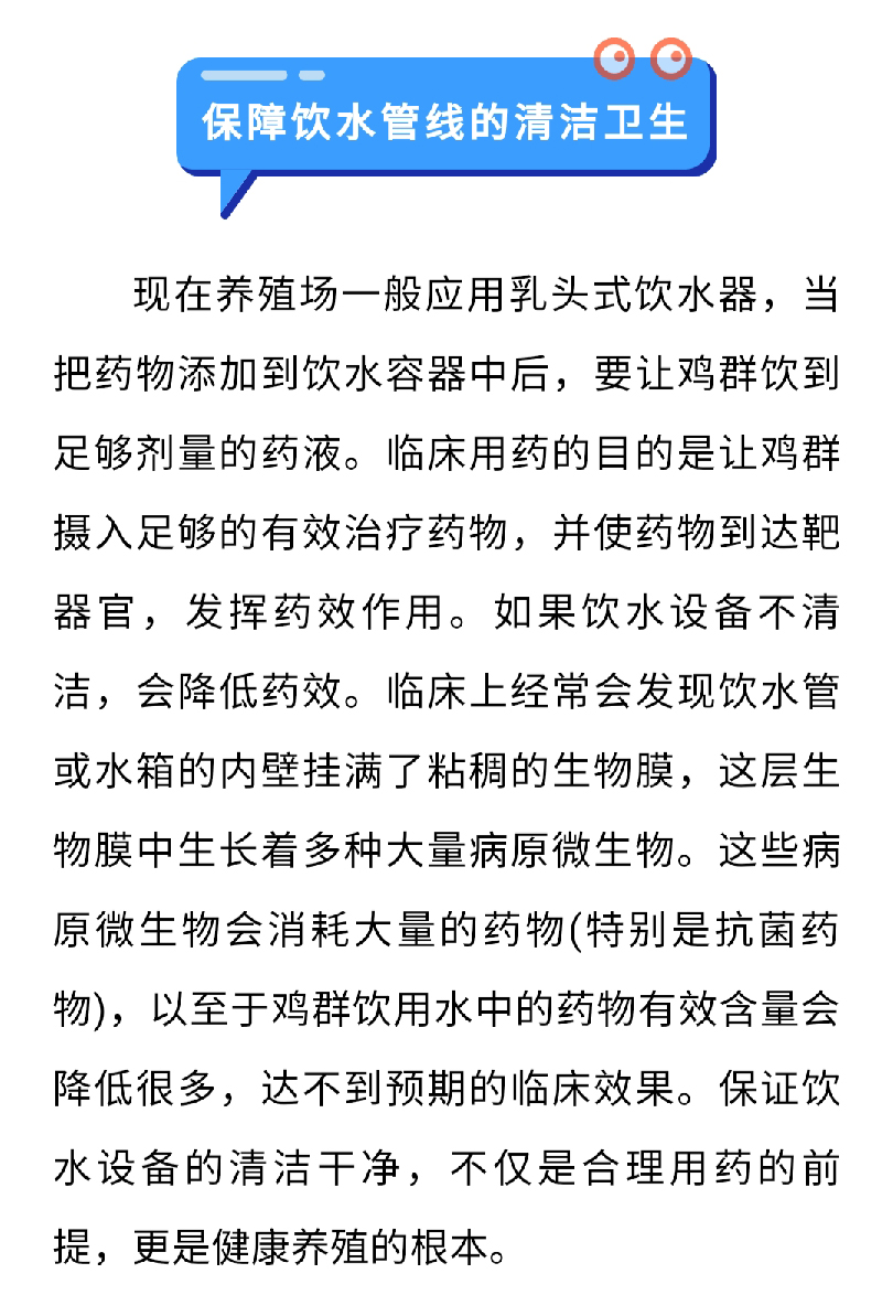 澳门十大电子游戏入口网站