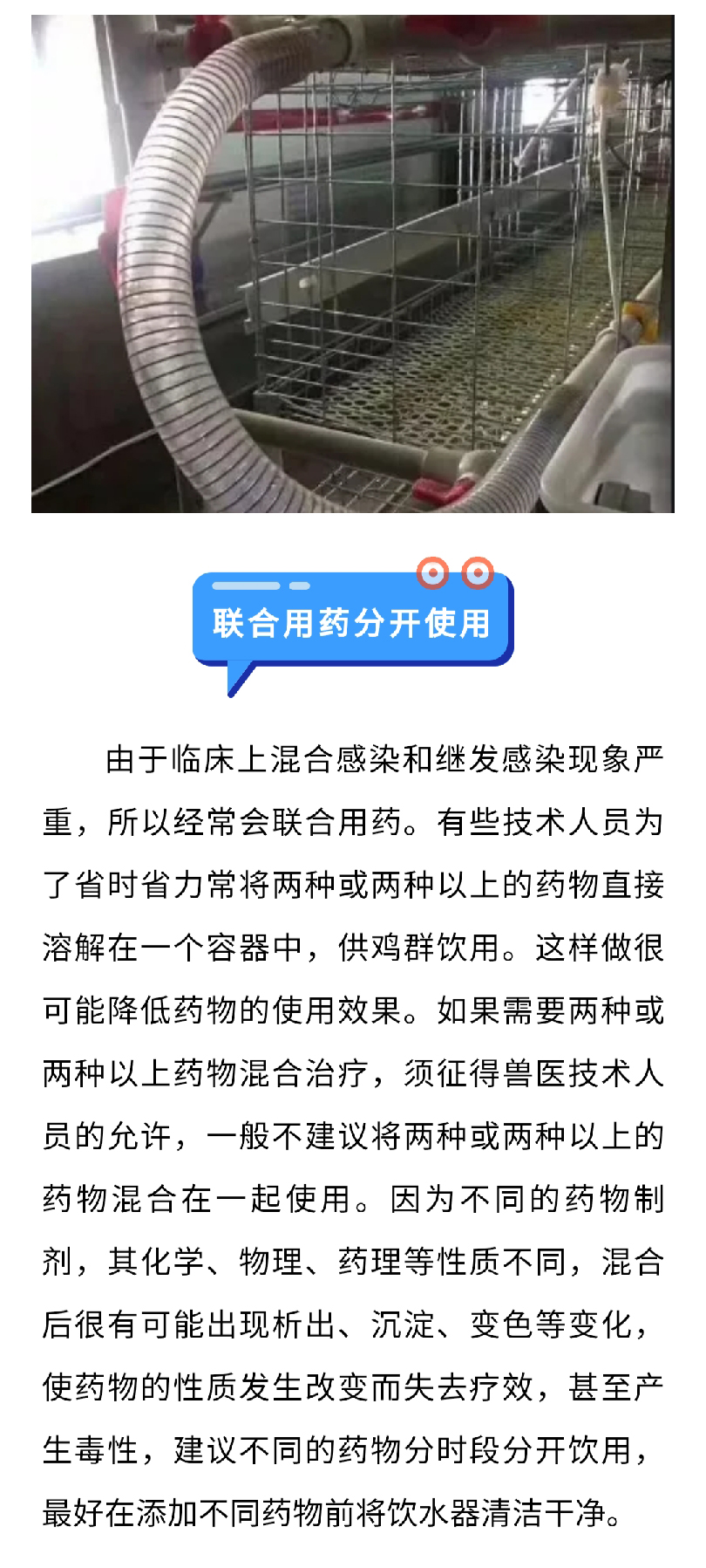 澳门十大电子游戏入口网站