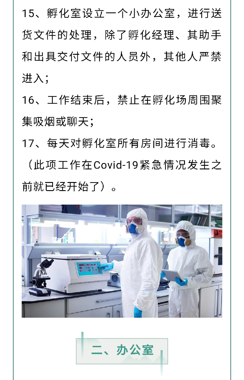 澳门十大电子游戏入口网站