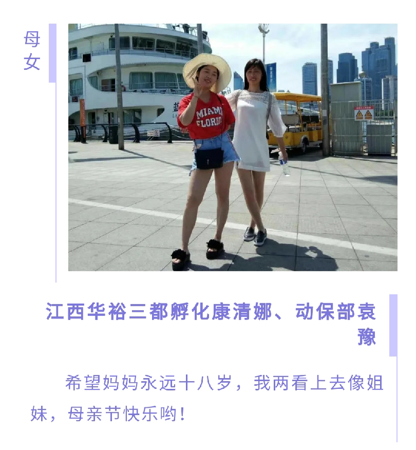 澳门十大电子游戏入口网站