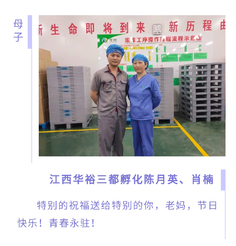 澳门十大电子游戏入口网站