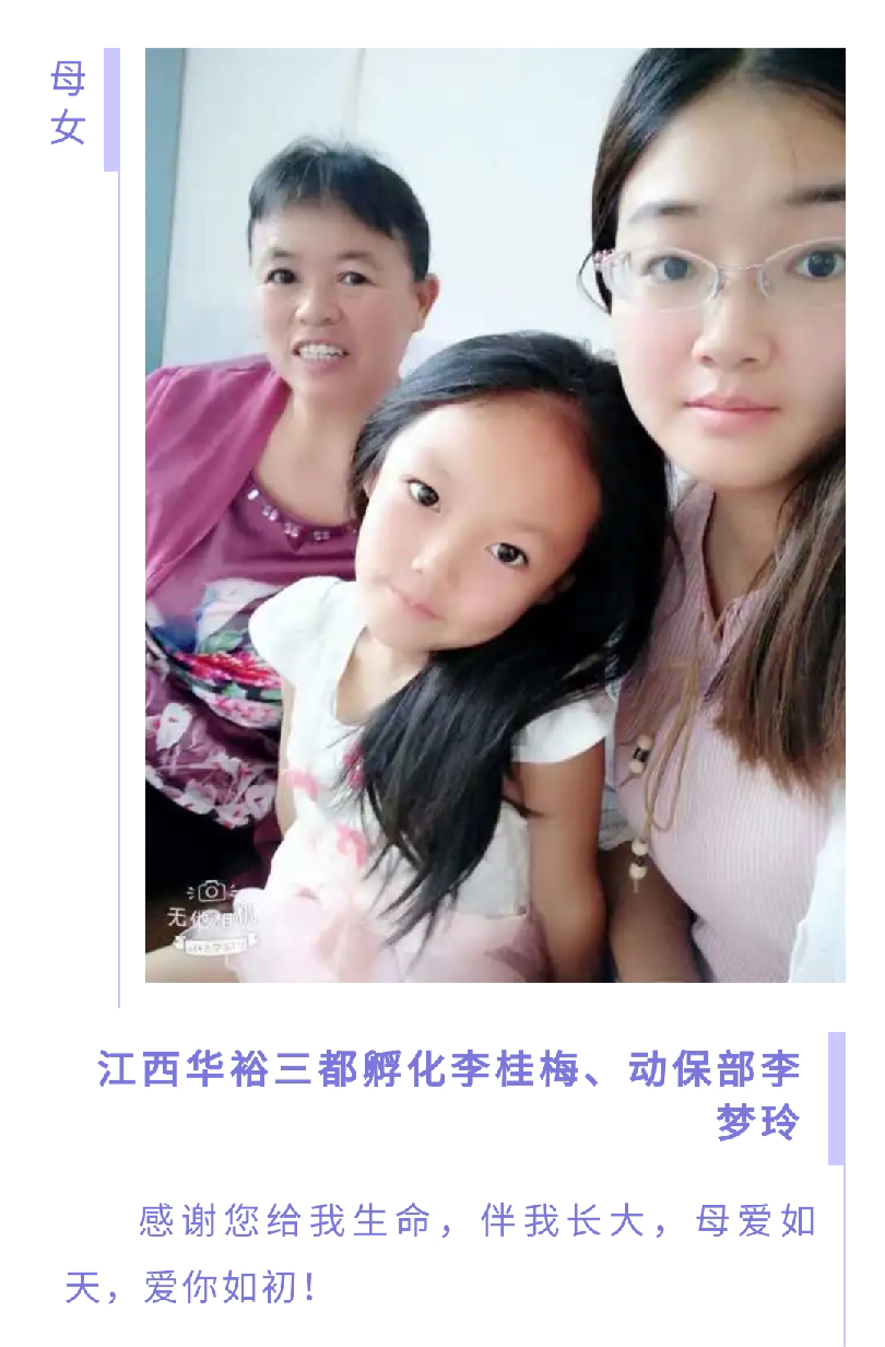 澳门十大电子游戏入口网站