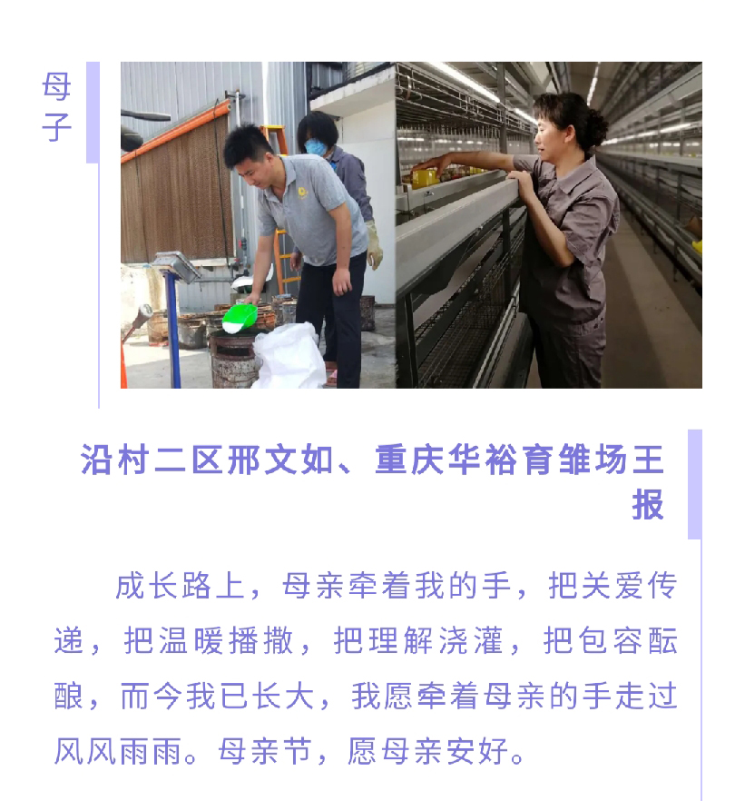 澳门十大电子游戏入口网站
