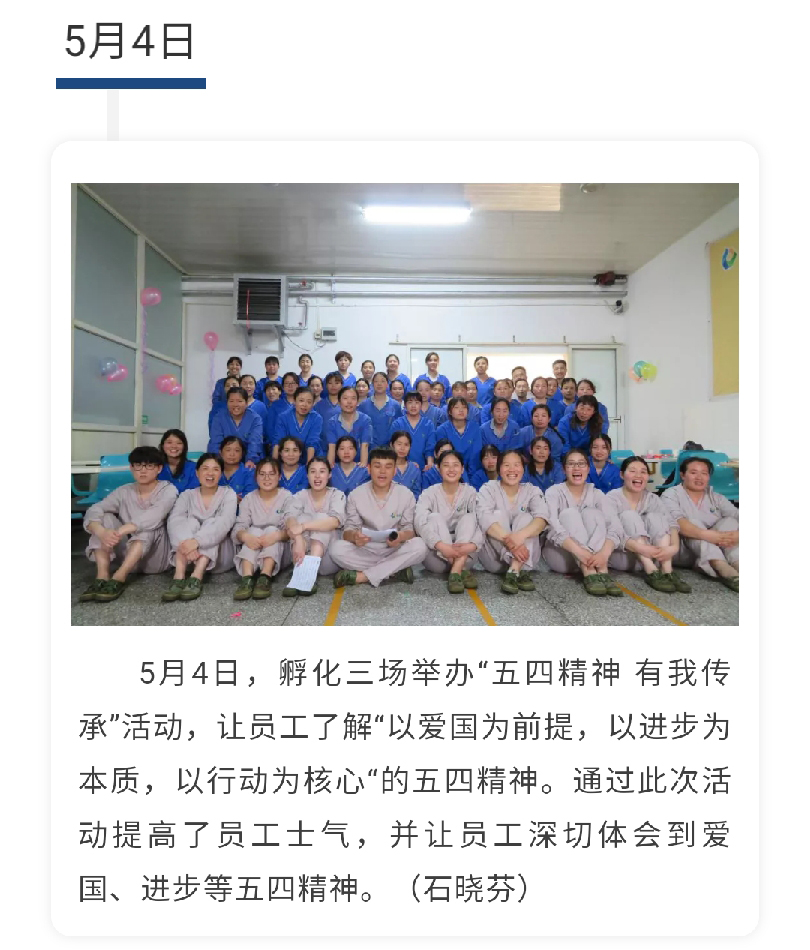 澳门十大电子游戏入口网站