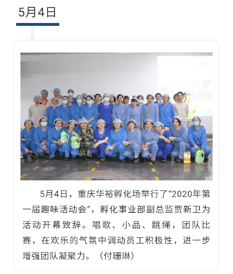 澳门十大电子游戏入口网站