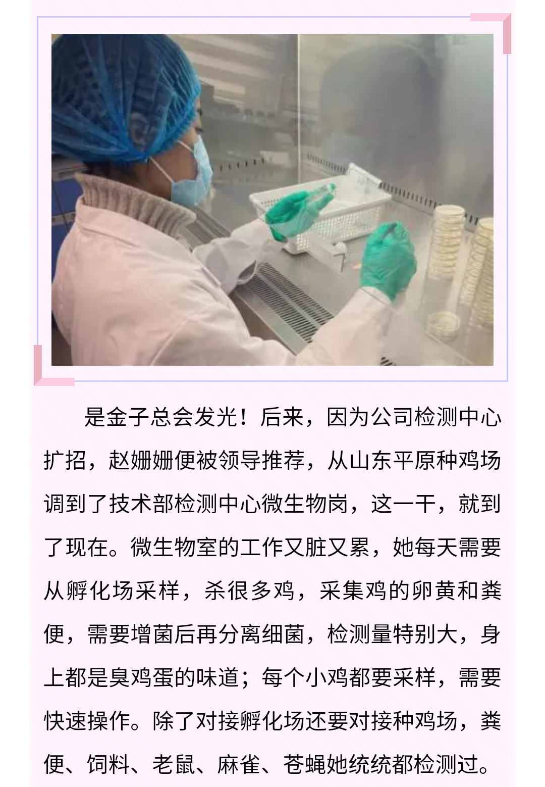 澳门十大电子游戏入口网站