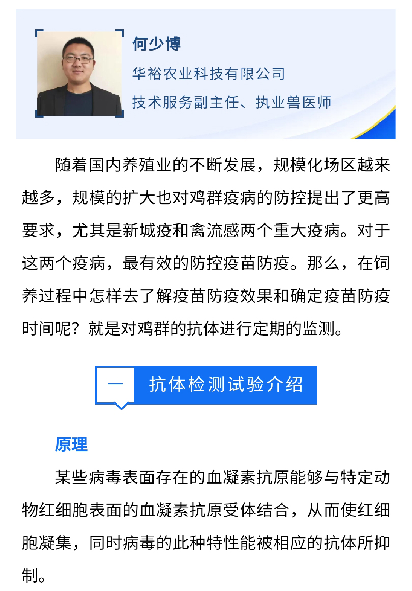 澳门十大电子游戏入口网站