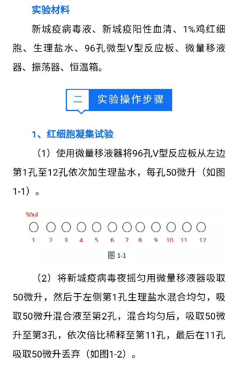 澳门十大电子游戏入口网站