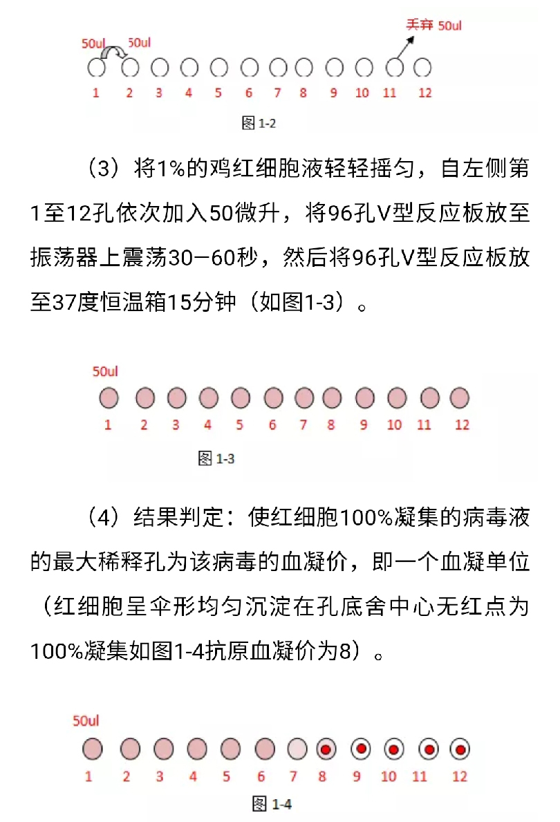 澳门十大电子游戏入口网站