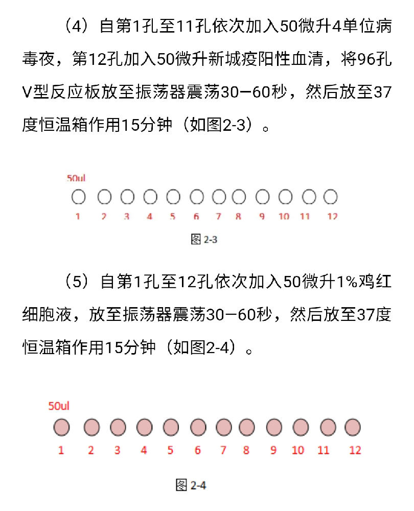 澳门十大电子游戏入口网站
